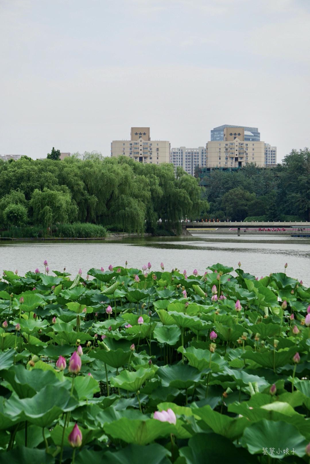 丛书慧