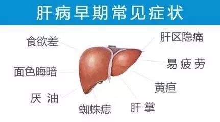 乙肝最新消息，研究现状、未来趋势与期待，展望至2025年进展