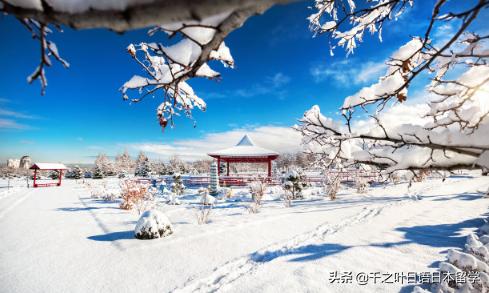 探索9c9c的起源与早期发展之路，历史追溯与揭秘